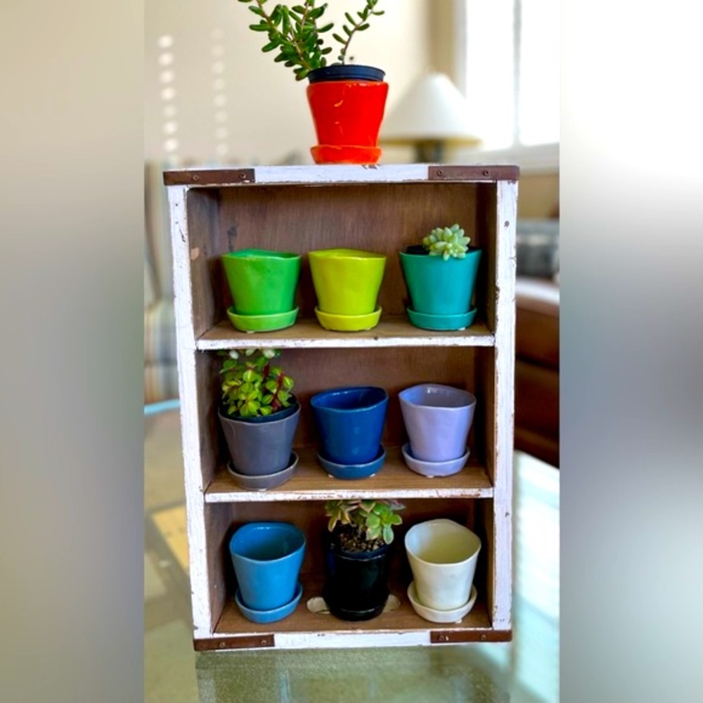 2 for 20 or 3 for 25 Little Planter Pots Spring Succulents or Seeds NWT